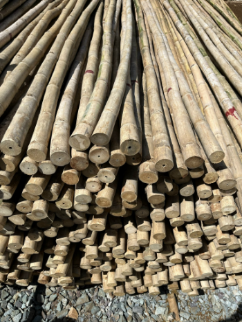 Dry Bamboo Poles Hot Sale Solid Moso Bamboo For Decor And Construction Bamboo Cane Packed In Bundles with Top Exporter 1