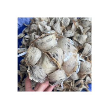 Good Quality Raw Bird'S Nest 100% Fresh Bird Nest For All Age Tasteless Packed In Box Vietnam Manufacturer 8