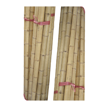 For Decoration Good Price Bamboo Pole Straight Raw Material Friendly Ready Export Top Guaranteed Popular From Vietnam Thanh Long Company Manufacturer 5