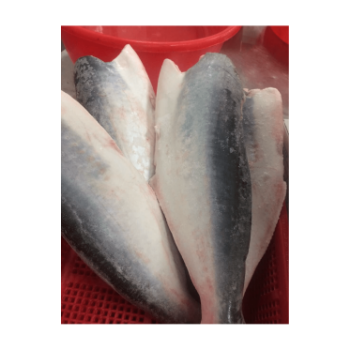 PANGASIUS HGT Wholesale Best Choice Delicious Taste Used For Cooking HACCP Certification Customized Packing Vietnam Manufacturer 8