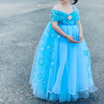 Disney Dress Elsa Long Dress Ely Girl's Clothing Girls Dresses Princess High Quality Factory Price OEM ODM Service Made In Vietnam 8