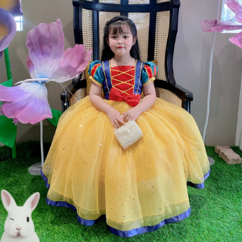 Disney Dress Snow White Long Dress Girl's Clothing Girls Dresses Princess High Quality Factory Price OEM ODM Service Made In Vietnam