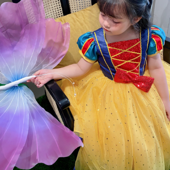 Disney Dress Snow White Long Dress Girl's Clothing Girls Dresses Princess High Quality Factory Price OEM ODM Service Made In Vietnam 3