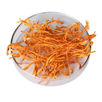 Dried Cordyceps Tonic Boosts Health Immunity And Endurance For The Elderly Wholesale Manufacturer From Vietnam