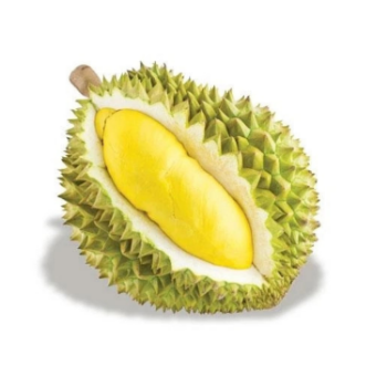 Fast Delivery Fresh Durian Ri6 Eat Directly Sweet And Fatty Taste Organic Packed In Box Vietnamese Manufacturer