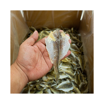 Custom Quick Dry Long Sleeve Fishing Yellow Croaker Fish Good Quality Export Ly Huynh Tasty Vacuum Pack Vietnam Manufacturer 5