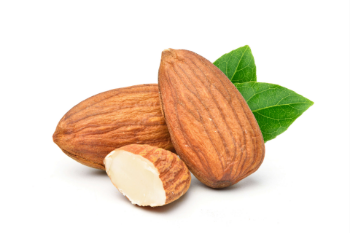 Rich Protein Cheapest Almonds And Walnuts Sweet Taste Fruits Premium Almond Nuts Food Snack Raw Almonds Fruit Dried From Vietnam 6