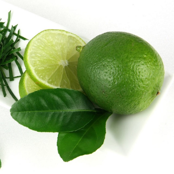 Special Item Fresh Seedless Lime 100% Natural Organic Good For Health Packed In Box Made In Vietnam Manufacturer 1