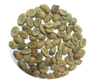 Vietnamese Robusta Coffee Good Quality Milling Essential Nutrients ISO220002018 60 kg bag Vietnamese Manufacturer 2