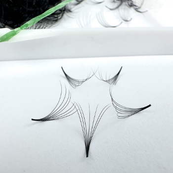  View larger image Camelia 5-20Mm Length Fast Delivery Natural Long Silk 3D 5D 7D Viet Nam Eyelash Extensions Customized Packaging Lash Box 5