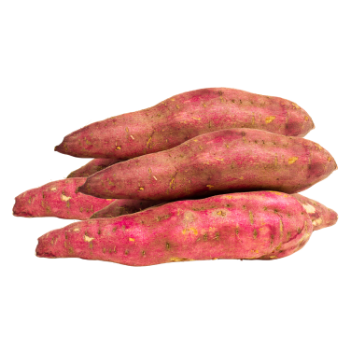 Sweet Potato High Quality raw ingredients using for many purposes TCVN packing in carton Made in Vietnam Manufacturer 2