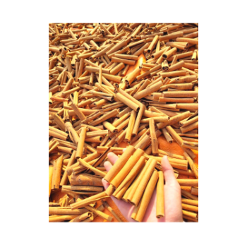 100% Pure Cigarette Cinnamon Spice Planting Organic Cinnamon Quality Assurance Dried Cinnamon Factory Cigarette Stick (copy) 2