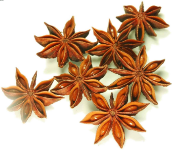 High Quality Autumn Dried Star Anise For Seasoning 100% Pure Star Anise High Quality Made In Vietnam Manufacturer Good Price