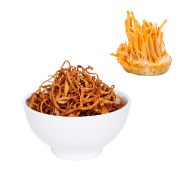 Cordyceps Dried Mushroom Using For Food Iso Packing In Box Vietnamese Manufacturer Hot Top Sale Good Healthy 7