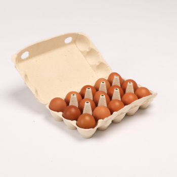 New Design Vietnam Hot selling paper pulp molding paper tray Molded Pulp Tray Egg Product Packaging Made In Vietnam 4