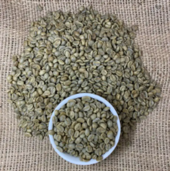 Arabica Green Coffee Beans Specialty Vietnamese Arabica Catimor Green Coffee Beans Dry Processing Single Origin Cau Dat Farm 1