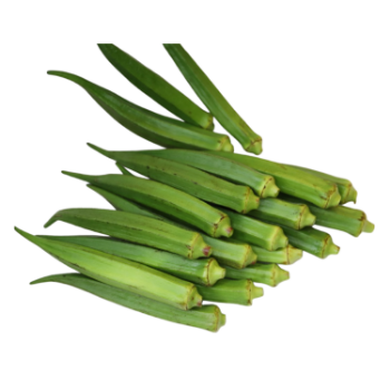 Okra Fresh Good Choice Organic Using For Many Purposes TCVN packing in carton Made in Vietnam Manufacturer 2