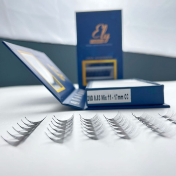 Volume Lashes Premade Lash Ultra Speed Tray 14D 20D Mix Bulk Price Custom Logo Lash Trays Made In Vietnam Manufacturer 2