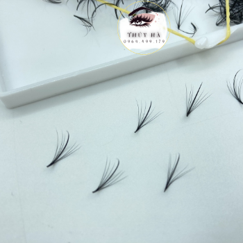 Thuy Ha Eyelashes Extension mi fan katun 7D wispy OEM ODM Service extension tool fan 2