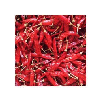 High Quality Dry Red Chilli Price Natural Fresh Raw Stick Natural Yellowish From Vietnam Manufacturer 2