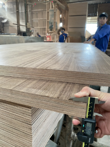 Competitive Price Plywood 12mm 15mm 18mm Okoume/bi Plywood Commercial For Furniture Customized Packaging Vietnam Manufacturer 7