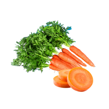 Fresh Carrots Low Calorie Delicious Food Vinagreen Tropical & Sub-Tropical Fruit Packing In Carton/ Mesh Made In Vietnam Bulk 2