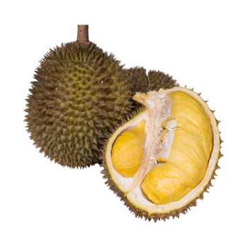 Durian Fruit For Sale Cheap Price New Crop using for many purposes TCVN packing in carton from Vietnam Manufacturer 5