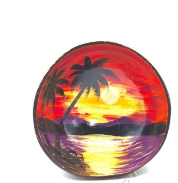 Lacquer coconut shell bowl 