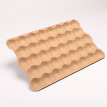 New Design Vietnam Recyclable paper packing Paper Pulp Packaging Molded Pulp Tray Customize Packaging From Viet Nam 3