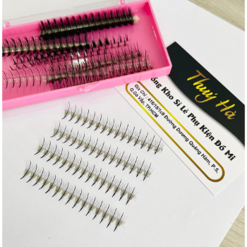 Thuy Ha Eyelashes Extension Eyelash Fan Katun Cord 5D 500 fans OEM ODM Service extension tool fan  1