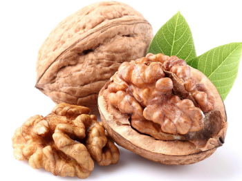 Best Price Walnuts Raw Walnut In Shell Dry Fruits Walnuts Kernels Nuts & kernels Rich Proteins Nuts From Vietnam Manufacturer 5