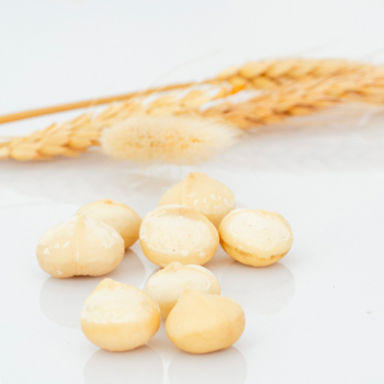 OEM Service In-Shell Macadamia Nuts Raw Organic High Quality ISO Certification From Viet Nam 1