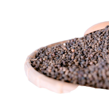 High Quality Raw Black Pepper Using For Food Good Scent Oem Odm Service Customized Packing From Vietnam Manufacturer