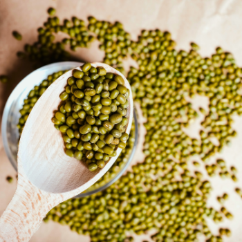 Wholesale Mung Bean Bean  Best Quality  Organic Using For Food Vinagreen Customized Packing From Vietnam Bulk 5