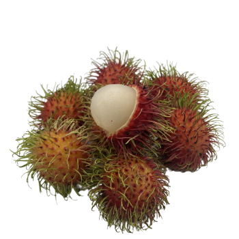 Standard Fresh Rambutan For Export Us Haccp Reasonable Price Wholesales Fresh Carton Box From Vietnam Manufacturer