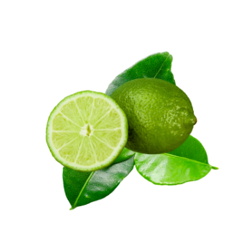 Fresh Lime Low Calorie Fresh All Size Raw  Tasty Using For Food  Made In Vietnam Factory Tropical & Sub-Tropical Fruit 1