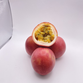 Passion Fruit Plant For Sale Fast Delivery Natural Fresh Organic Passion Fruits Making Juice Cakes Fresh Fruit Packaging Box VietNam Manufacture 3