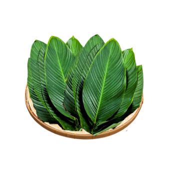 Dong Leaf Eco Friendly For Wrapping Banh Chung and Decorating Food For Food Stuff Replace To Plastic Bag Biodegradable Supplier 6