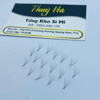 Thuy Ha Eyelashes Extension Mi Fan 4D Eyelashes 0.07 1000 Fans OEM ODM Service extension tool fan 5