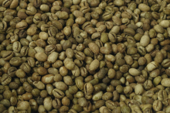 Culi Coffee Beans Arabica High Quality Raw Deodorizing ISO220002018 net 60 kg from Vietnam Manufacturer