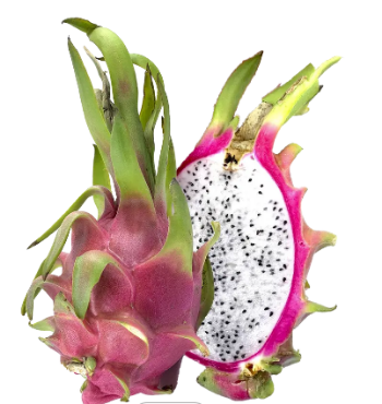 Dragon Fruit Best Selling Delicious Using For Food Export Bulksales Carton Box Plastic Wrap Asian Manufacturer