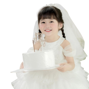 Factory Wholesale Princess Dress for Girls Baby Girl Party Dress with Long Style & Bow Decoration for Children