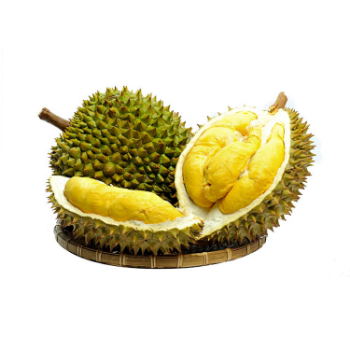 The Best Fresh Durian Ri6 Eat Directly Sweet And Fatty Taste Organic Packed In Box From Vietnam Manufacturer