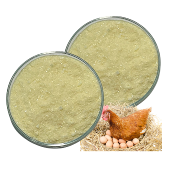 Supplement Chicken Eggs White Powder Dried Egg Whites Cheap Price Egg White Protein Powder Good For Health Made In Vietnam 4