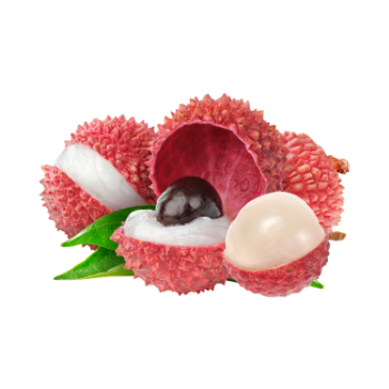 Fresh Lychee Ingredient Fresh All Size Raw  Delicious For Cooking Vinagreen In Carton/ Mesh Made In Vietnam Manufacturer 1