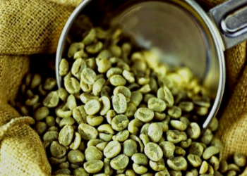 Customized Packaging Coffee Green Beans All Size Raw Good Scent Drinks Iso Brc Haccp Halal Vietnamese Manufacturer 6