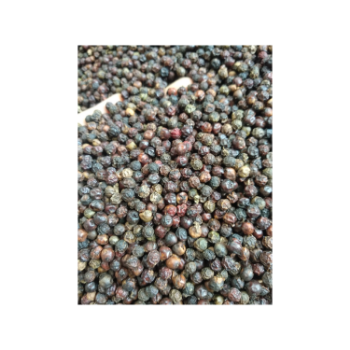 Hot Selling Black Pepper Good Price Good Quality Use For Cooking Wholesale Price Customized Packaging Made In Vietnam 1