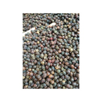 Hot Selling Black Pepper Good Price Good Quality Use For Cooking Wholesale Price Customized Packaging Made In Vietnam