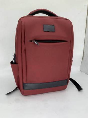 Fast Delivery Waterproof Laptop Backpacks School Bags Outdoor Man Travel Laptop Backpack With USB Made In Vietnam 3