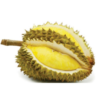 Ri6 fresh durian fruit for sale Hot selling good taste using for food packing in carton made in Vietnam Manufacturer 3